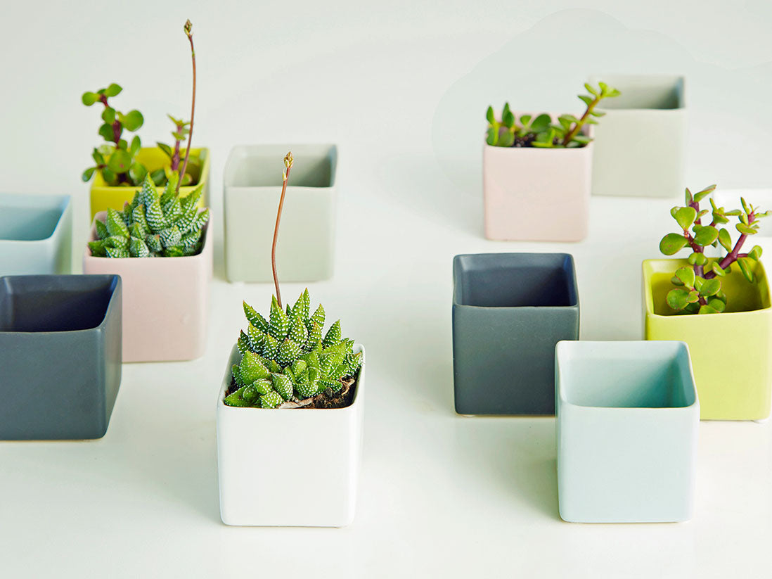 Cube Cache Pot - 4.5" x 3.5" By Plantatorem