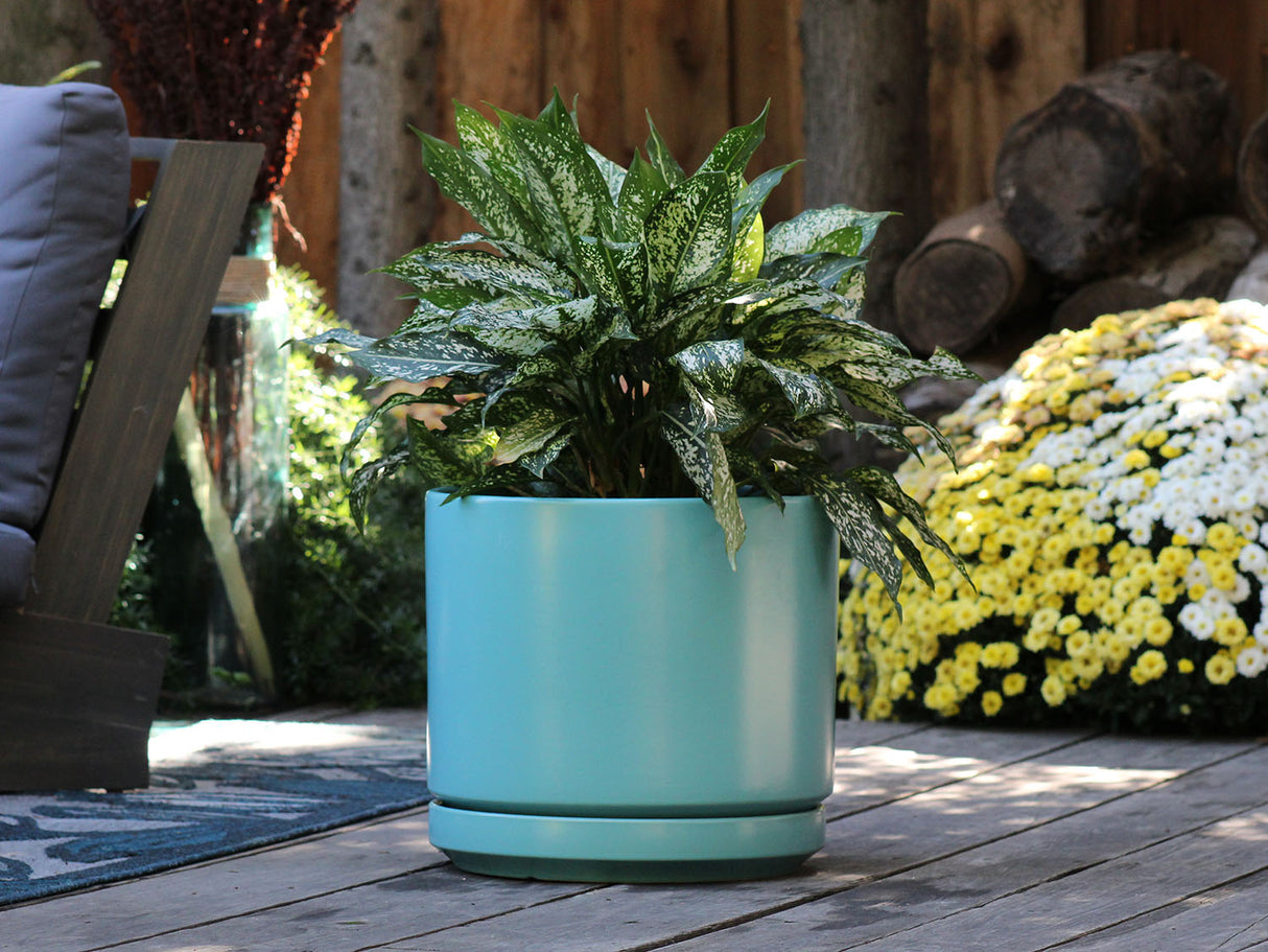 Mid Modern Planter With Detached Saucer "10.0" D x 9.0" H" By Plantatorem