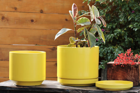 Mid Modern Planter With Detached Saucer "12.0" D x 10.5" H" By Plantatorem