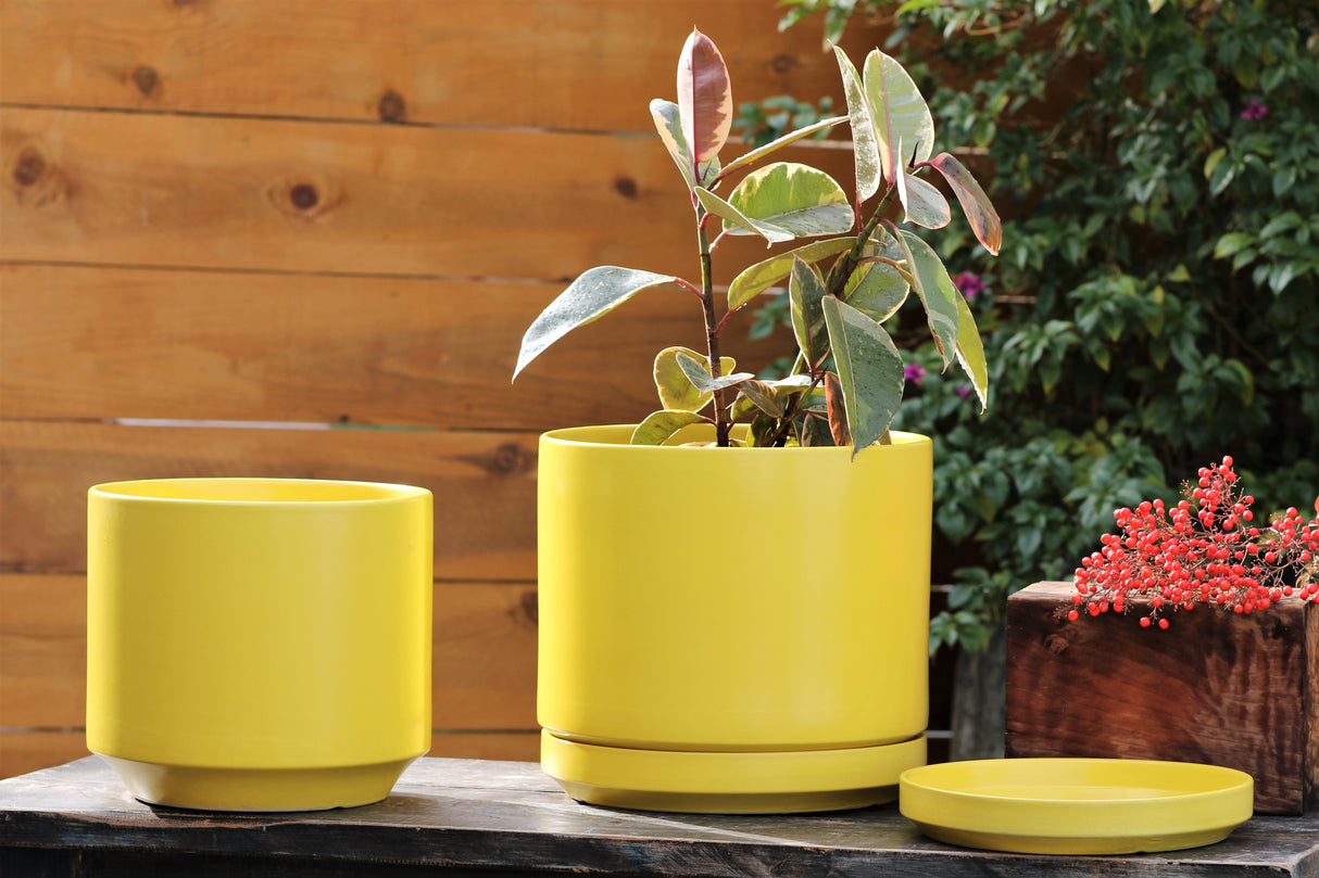 Mid Modern Planter With Detached Saucer "14.0" D x 12.0" H" By Plantatorem