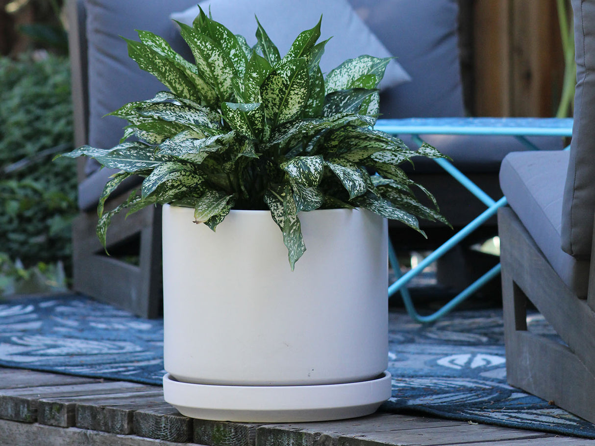 Mid Modern Planter With Detached Saucer "10.0" D x 9.0" H" By Plantatorem