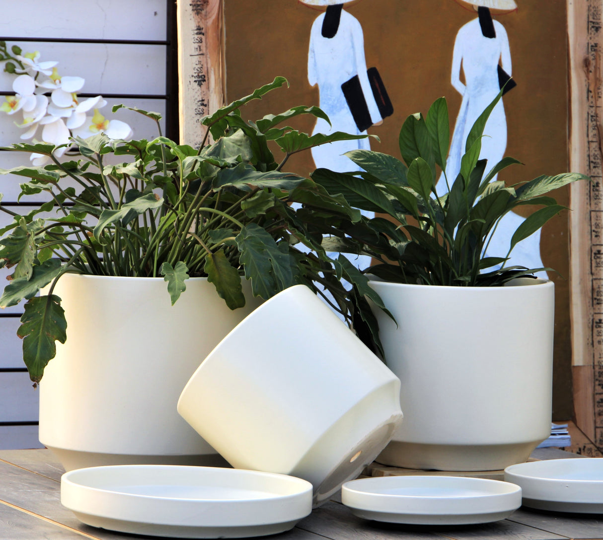 Mid Modern Planter With Detached Saucer "10.0" D x 9.0" H" By Plantatorem