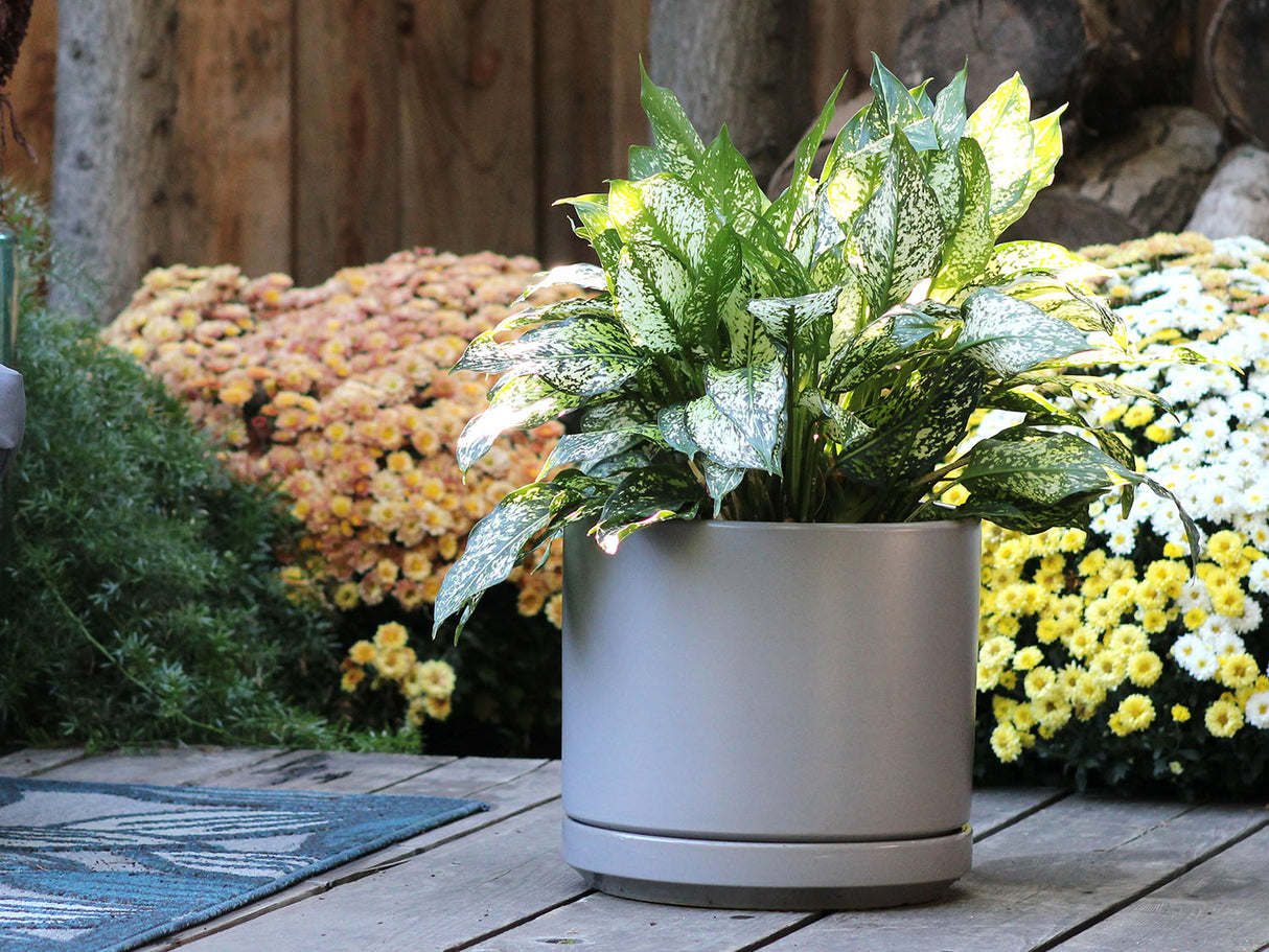 Mid Modern Planter With Detached Saucer "10.0" D x 9.0" H" By Plantatorem