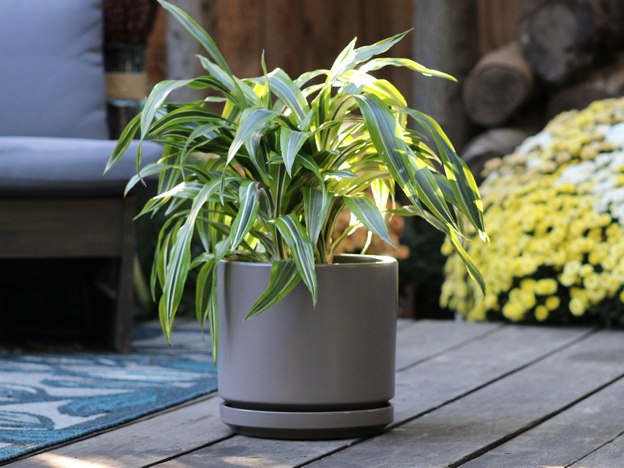 Mid Modern Planter With Detached Saucer "12.0" D x 10.5" H" By Plantatorem