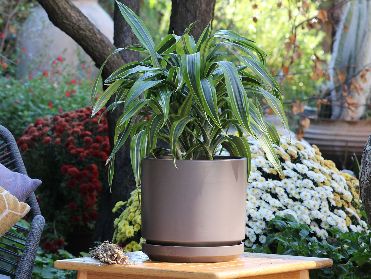 Mid Modern Planter With Detached Saucer "10.0" D x 9.0" H" By Plantatorem