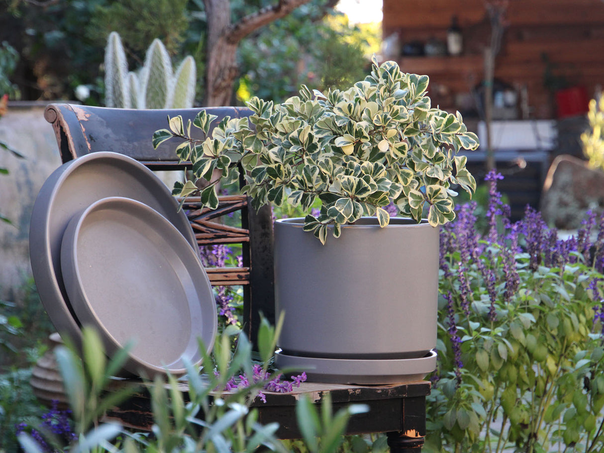 Mid Modern Planter With Detached Saucer "14.0" D x 12.0" H" By Plantatorem