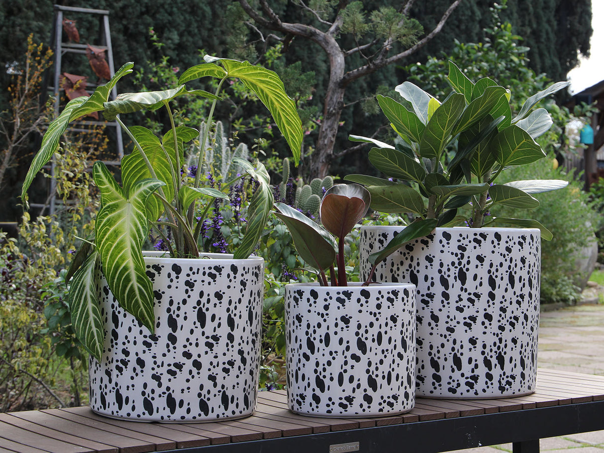 Easter Lilly Planter By Plantatorem