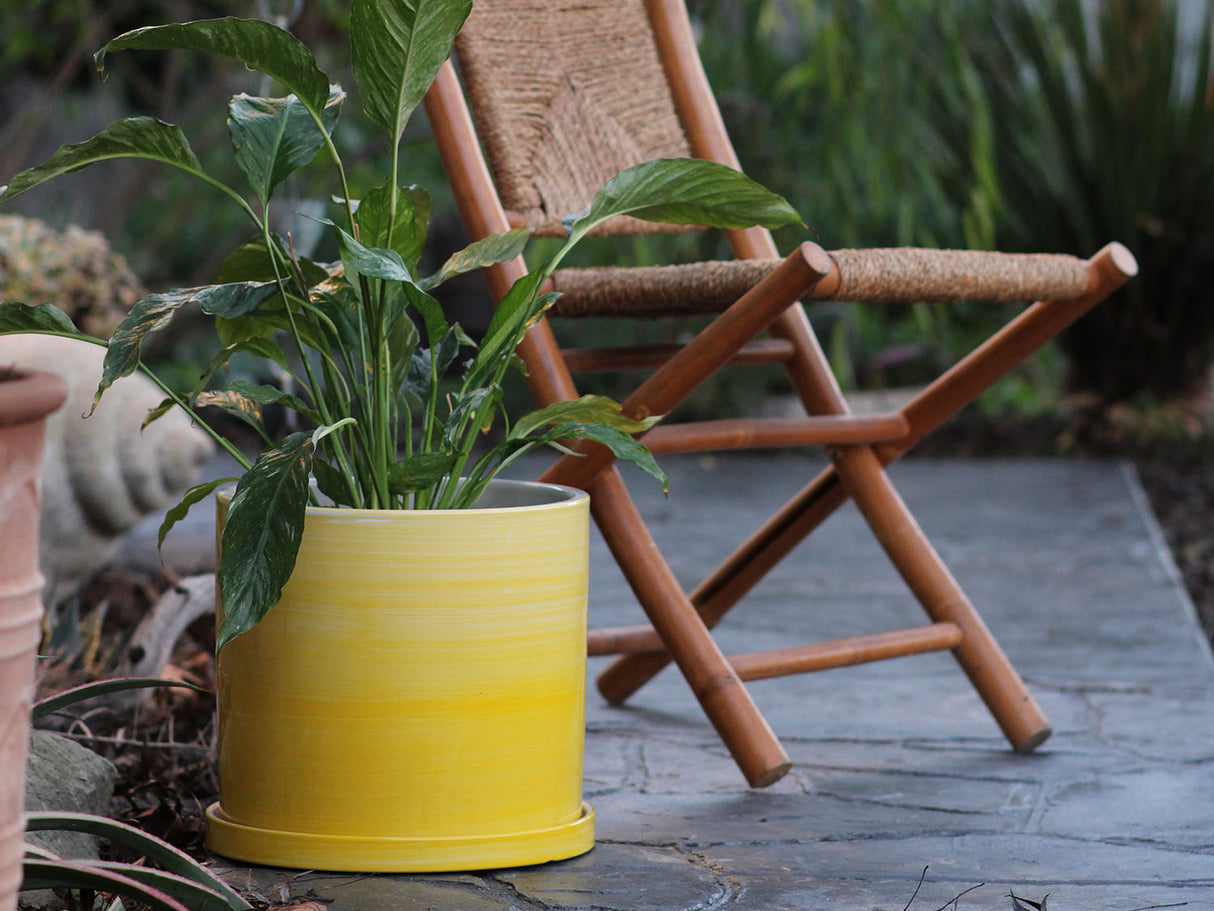 Cylinder Ombre Planter By Plantatorem
