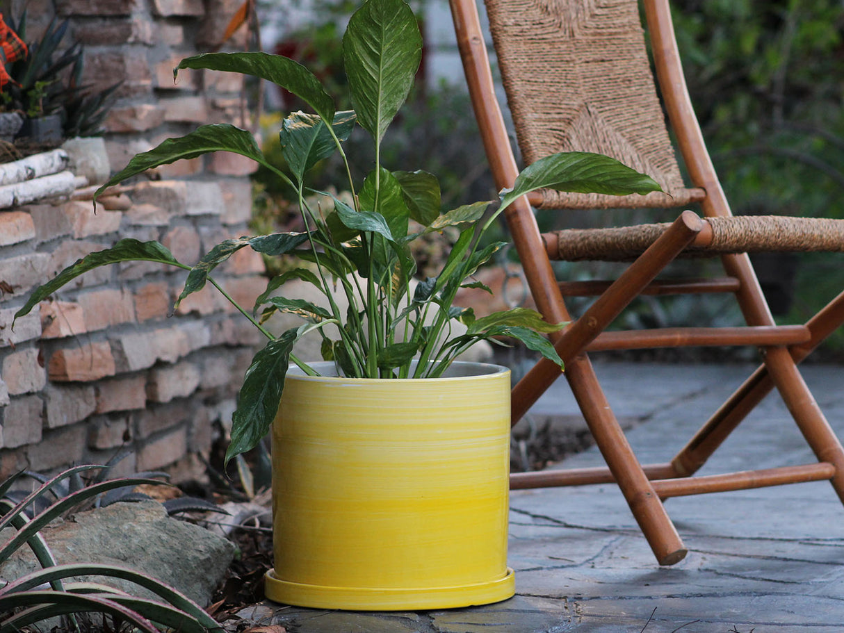 Cylinder Ombre Planter By Plantatorem