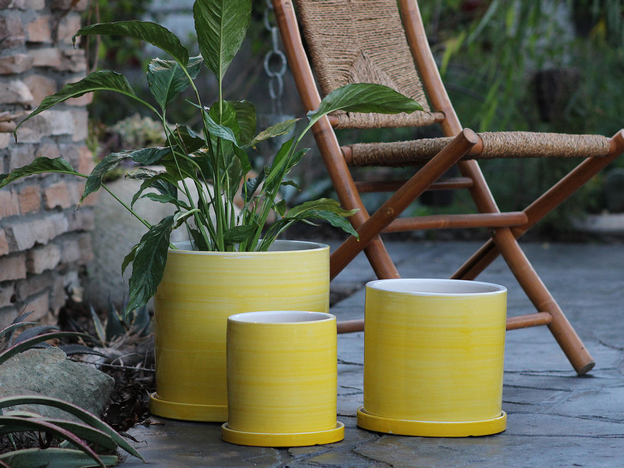 Cylinder Ombre Planter By Plantatorem