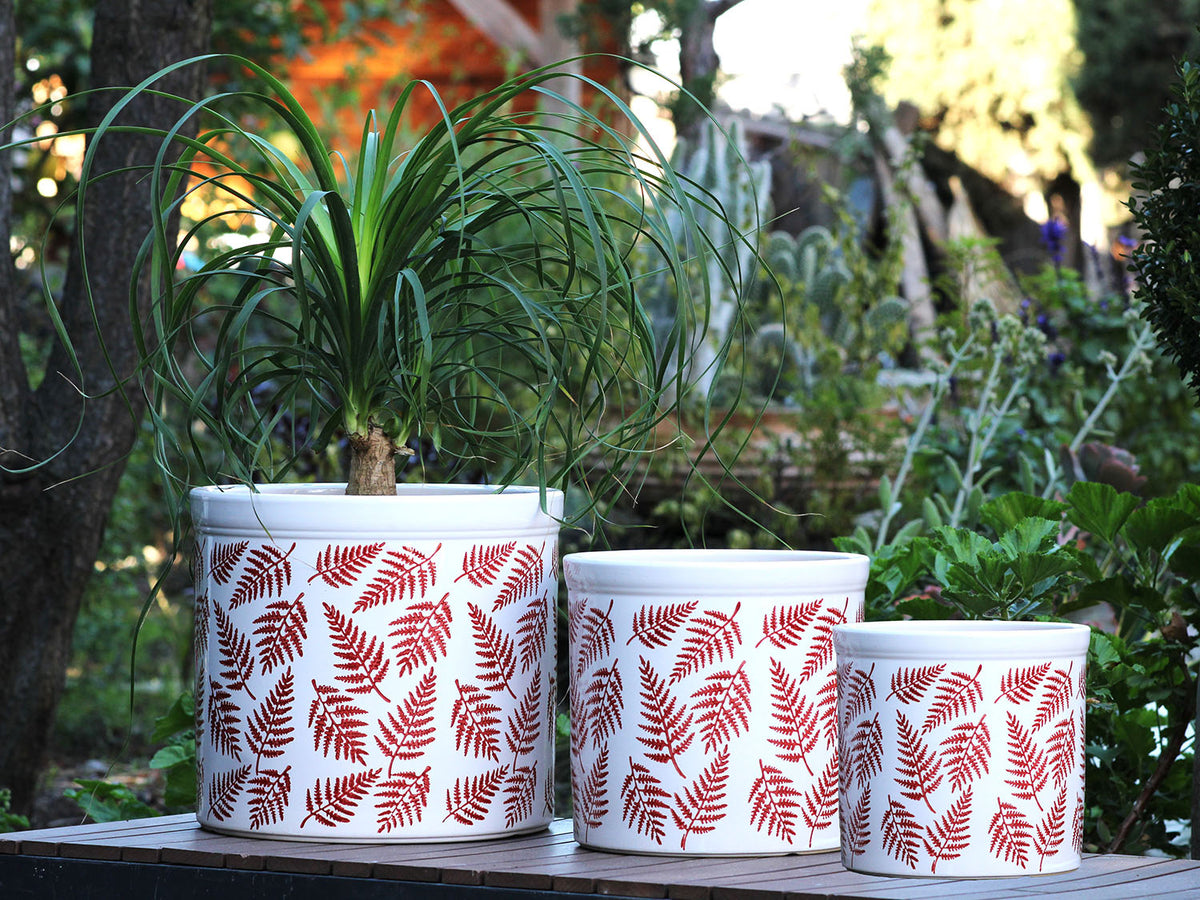 plant pots for ferns Ceramic Fern Patterned Planters Leaf Blue / Set of 3