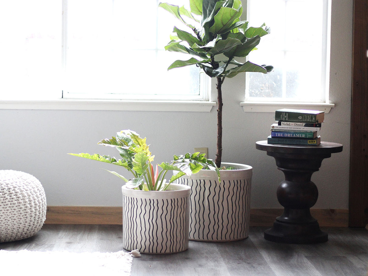 Crock Jar Planter By Plantatorem