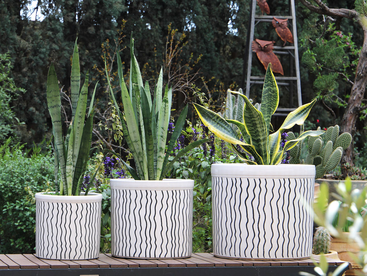 Crock Jar Planter By Plantatorem