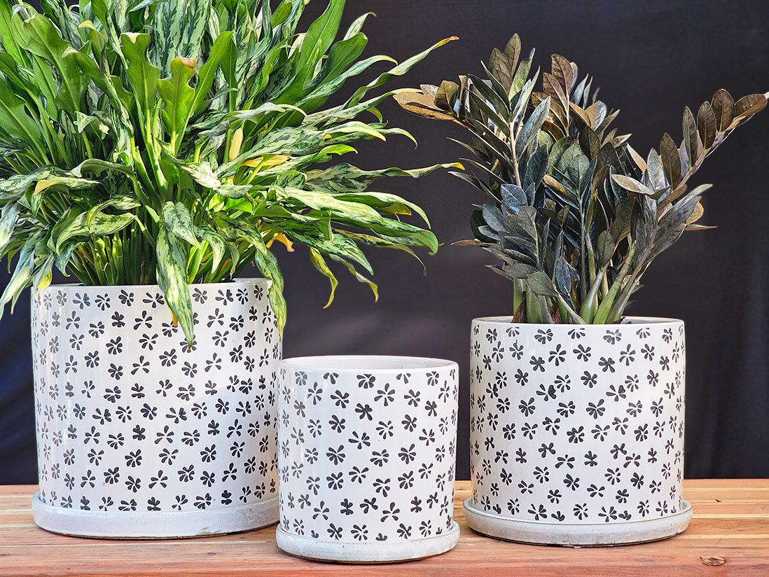 Cylinder Floral Stamped Planter By Plantatorem