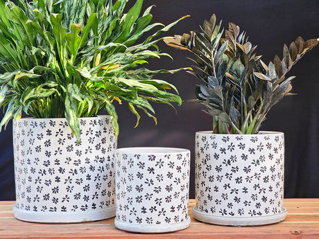 Easter Lilly Planter By Plantatorem
