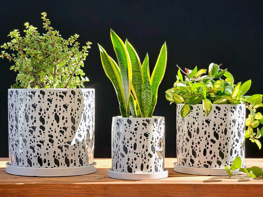 Cylinder Floral Stamped Planter By Plantatorem