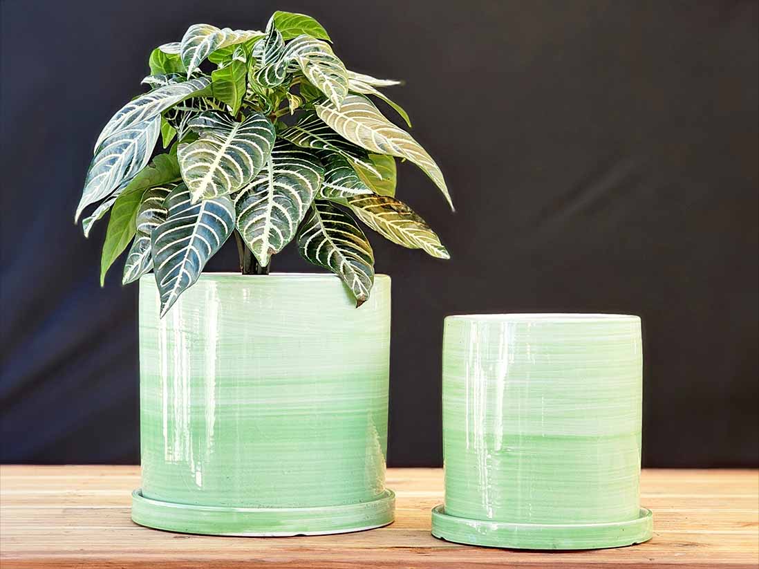 Cylinder Ombre Planter By Plantatorem