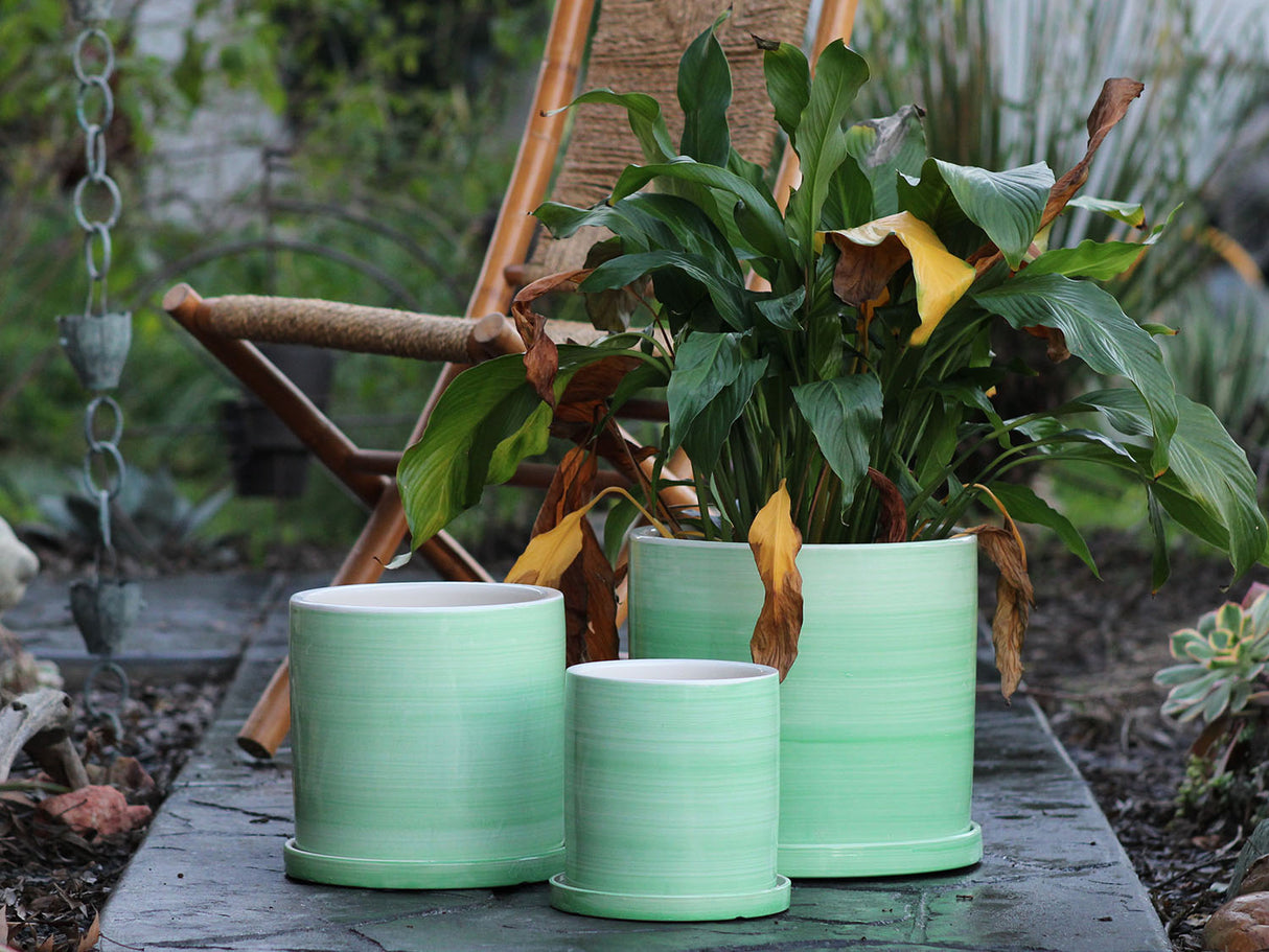 Cylinder Ombre Planter By Plantatorem