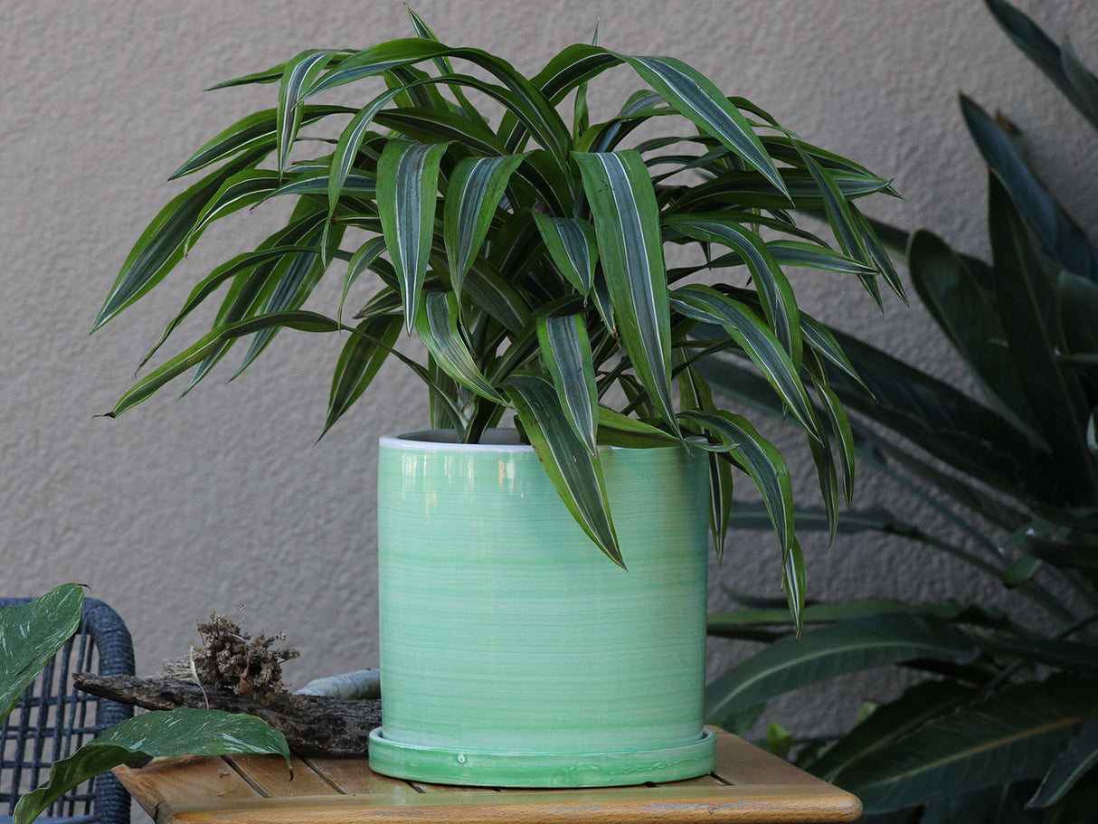 Cylinder Ombre Planter By Plantatorem