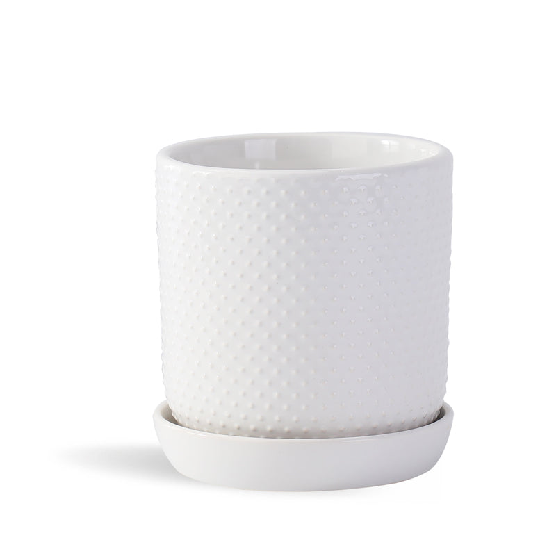 Dotted Cylinder Planter With Attached Saucer