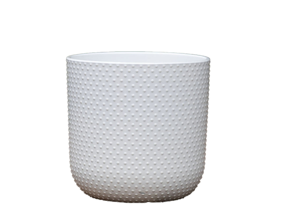 Dotted Cylinder Planter (No Saucer)
