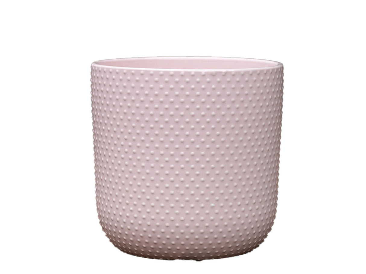 Dotted Cylinder Planter (No Saucer)