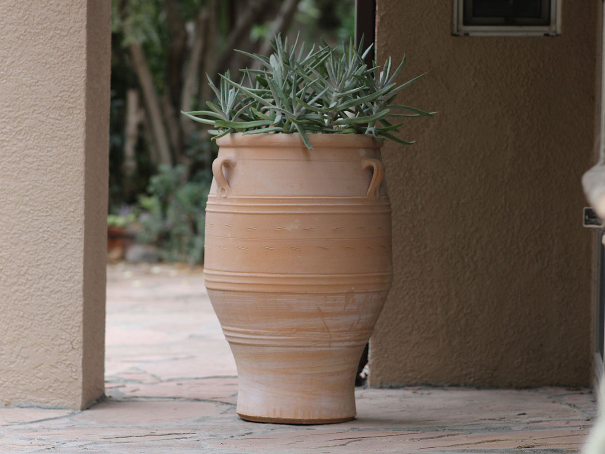 Pithari Urn By Plantatorem
