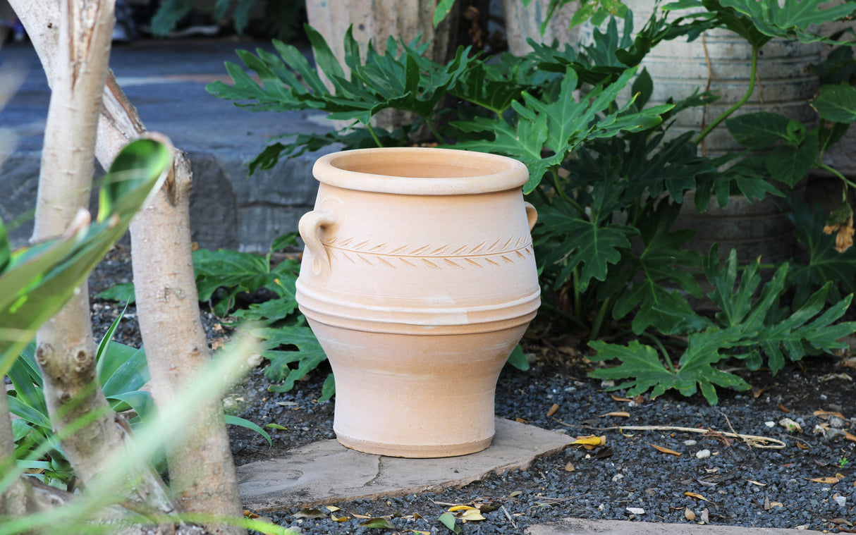Pithari Urn By Plantatorem