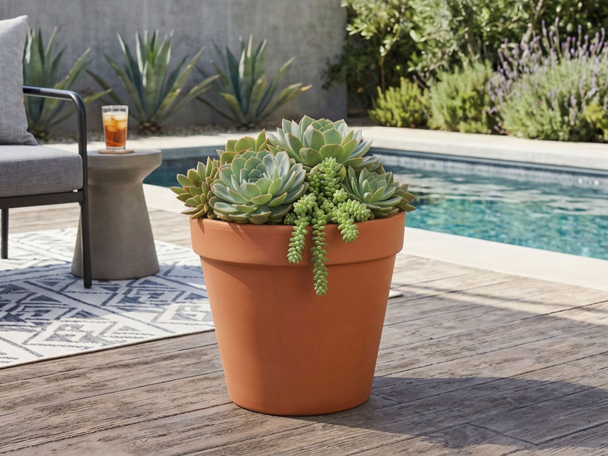 Deroma Standard Pot