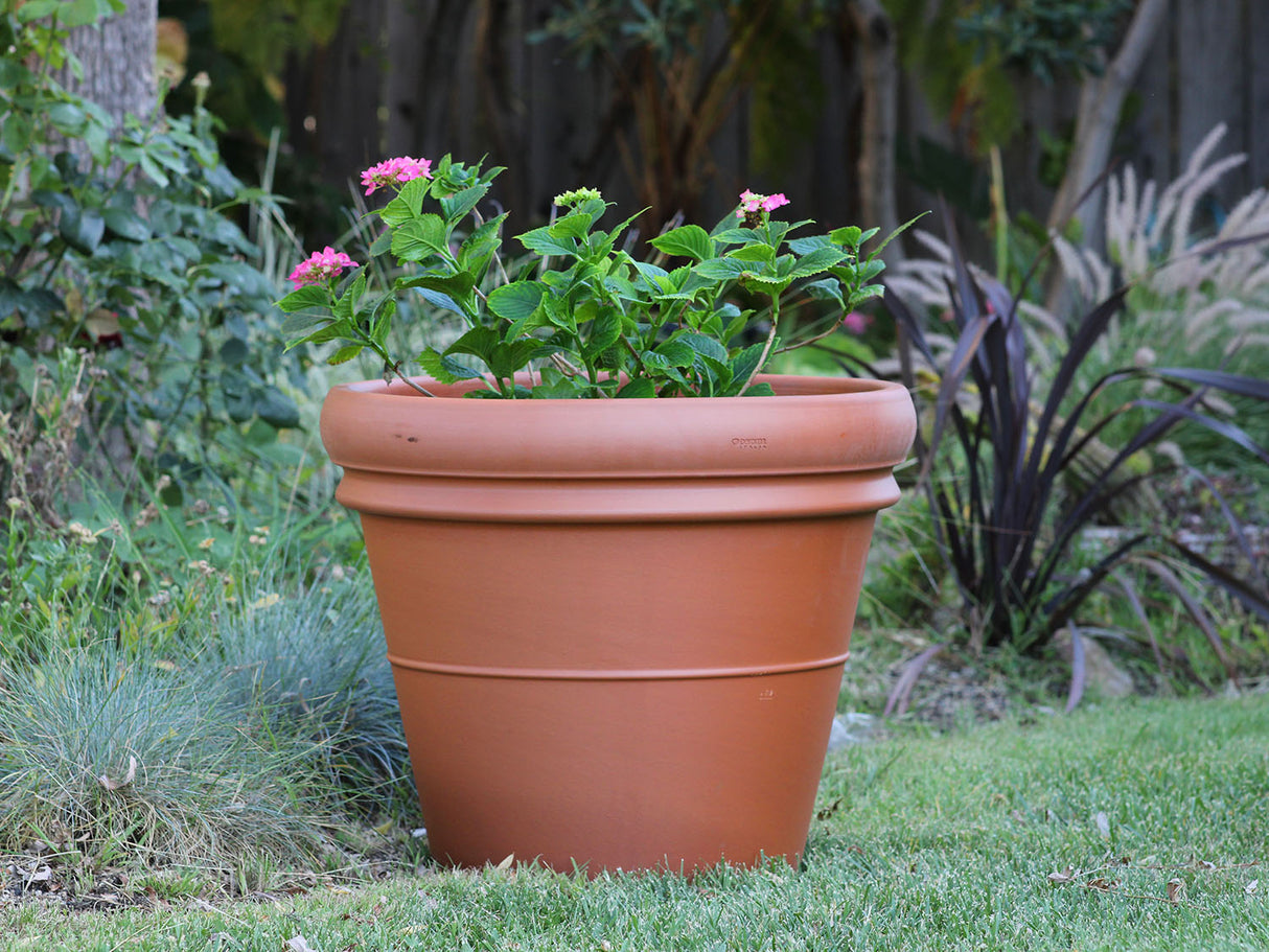 Deroma Heavy Rim Pot
