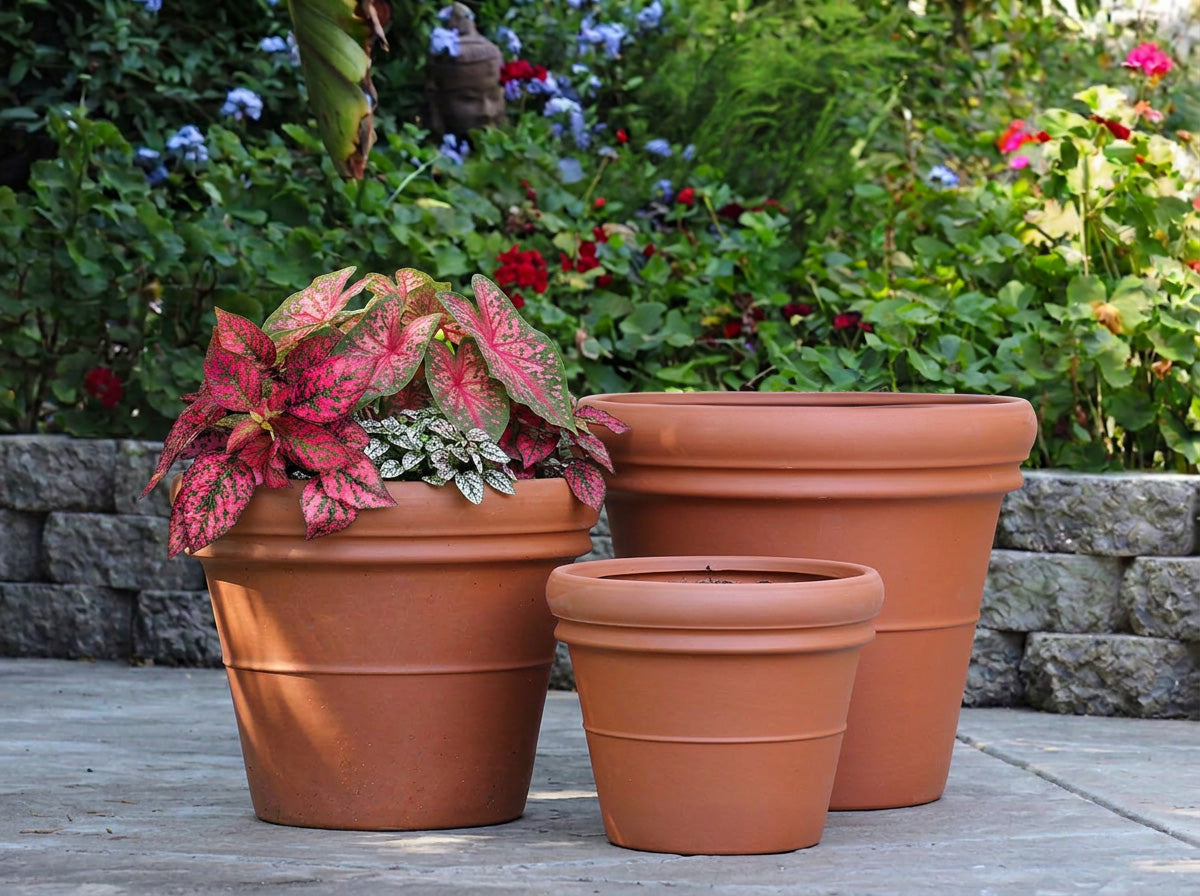Deroma Heavy Rim Pot
