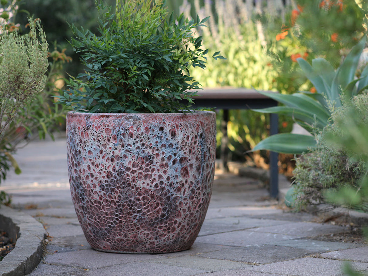 Coco Pots Coral - Set of 4 By Plantatorem