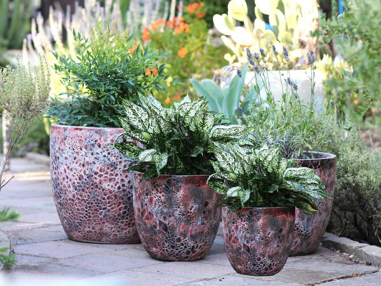 Coco Pots Coral - Set of 4 By Plantatorem