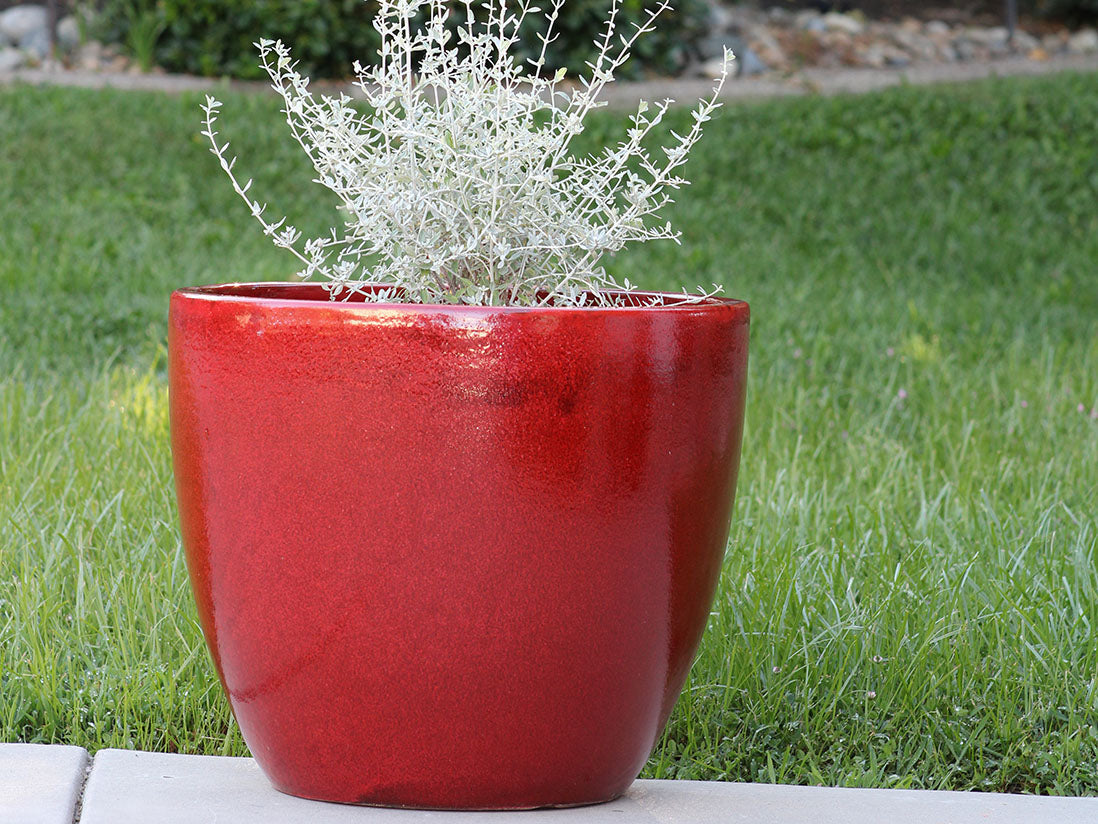 Coco Pots Glazed - Set of 4 By Plantatorem