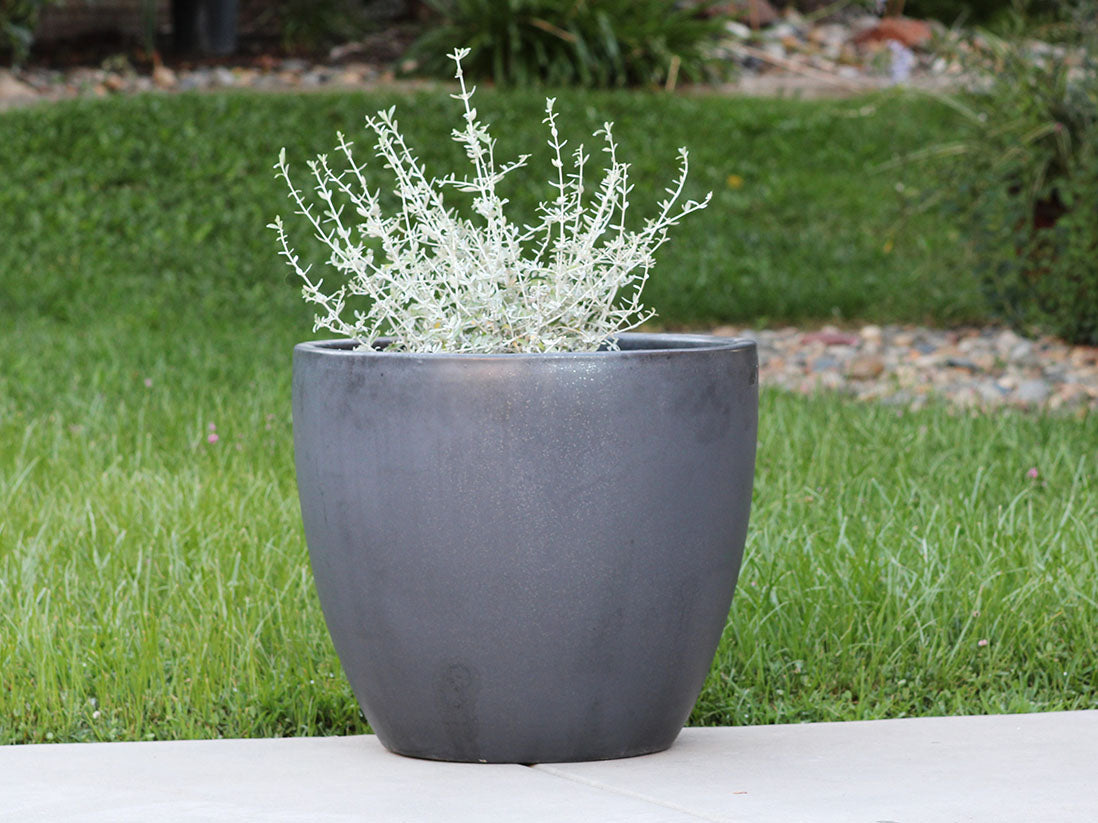 Coco Pots Glazed - Set of 4 By Plantatorem