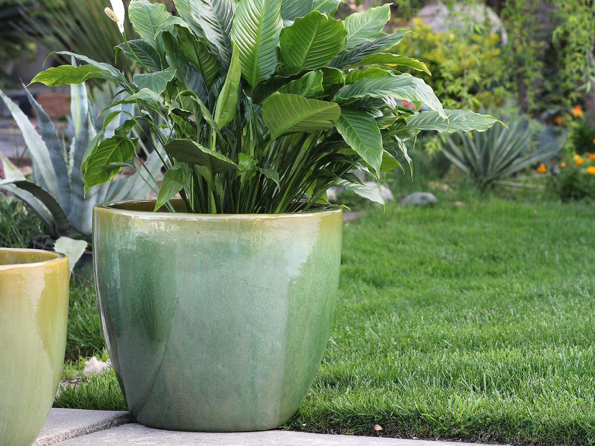 Coco Pots Glazed - Set of 4 By Plantatorem