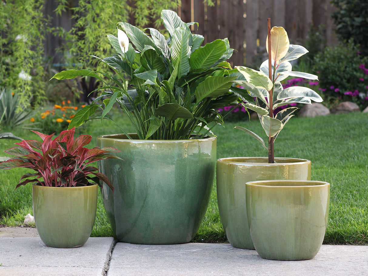 Coco Pots Glazed - Set of 4 By Plantatorem
