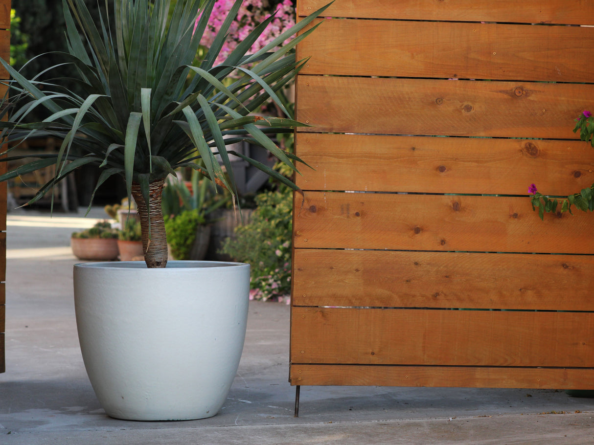 Coco Pots Glazed - Set of 4 By Plantatorem