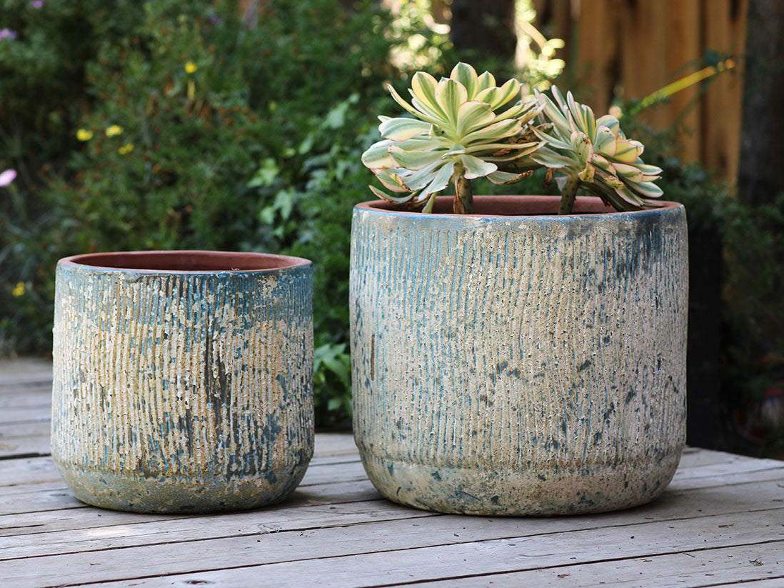 Delphinium Planter - Set of 2 By Plantatorem