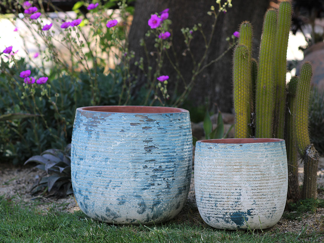 Zinnia Planter - Set of 2 By Plantatorem