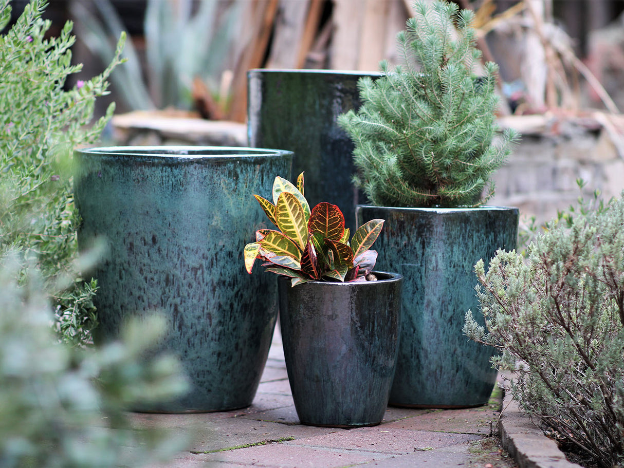 XLG Cone Planter - Set of 4 (Glazed) By Plantatorem