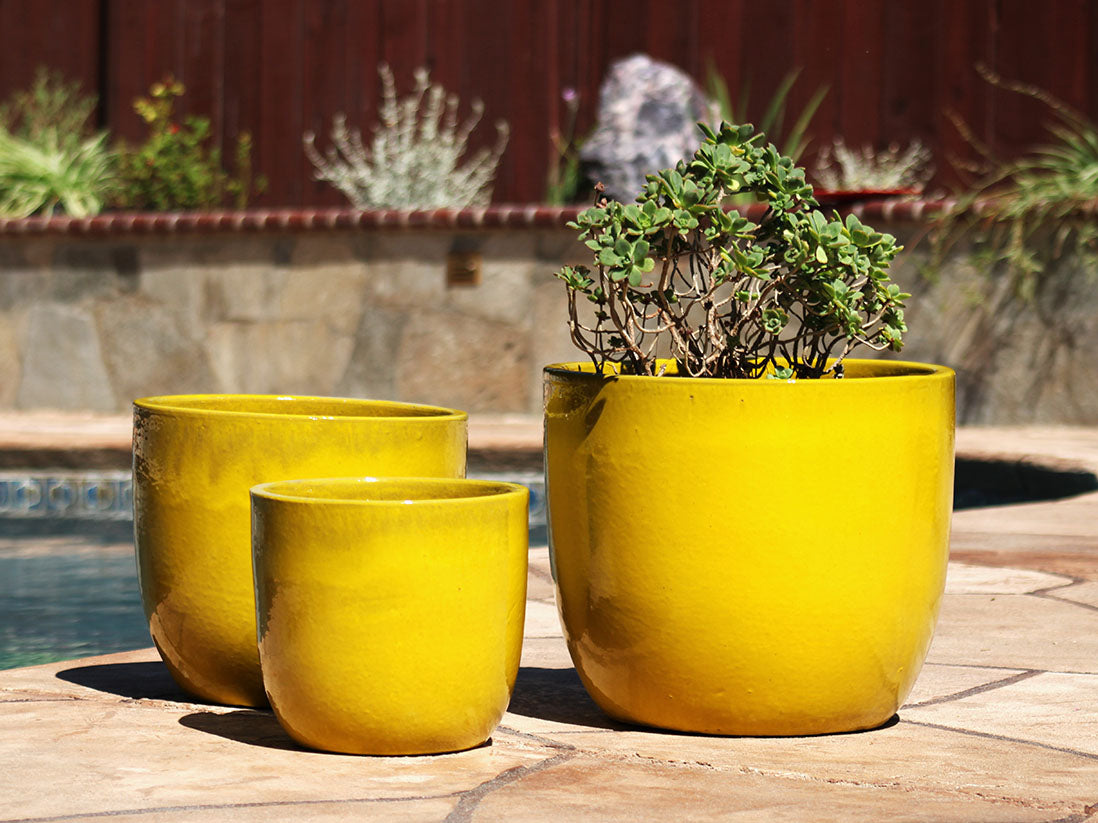 Egg Shell Pots - Sets of 3 By Plantatorem