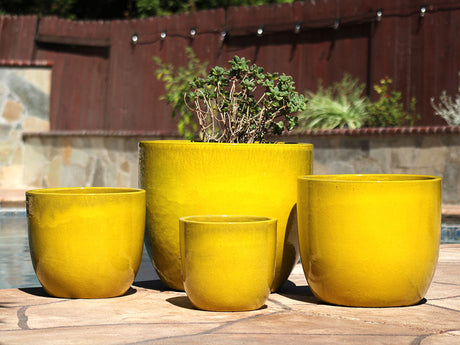 Egg Shell Pots - Set of 4 By Plantatorem