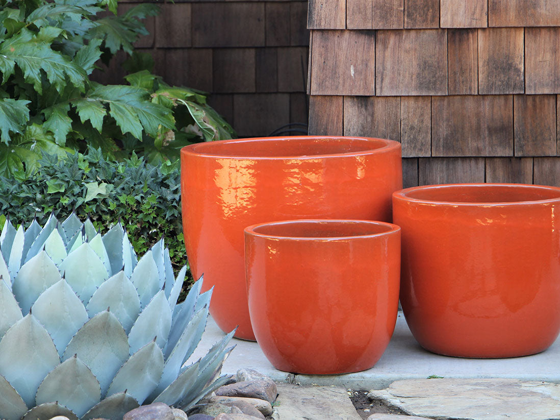 Egg Shell Pots - Sets of 3 By Plantatorem