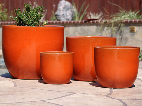 Egg Shell Pots - Set of 4 By Plantatorem