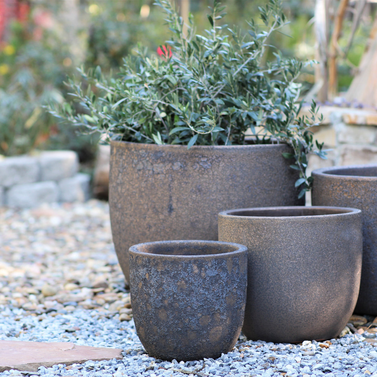 Egg Shell Pots Set of 4