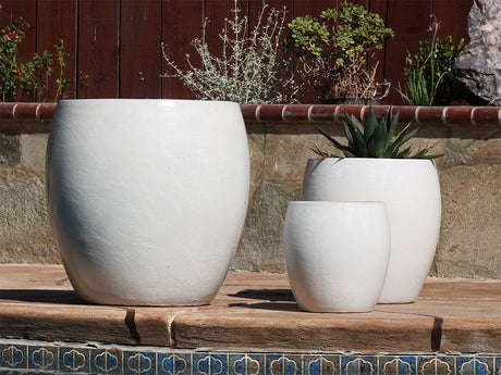 Jams Planter - Set of 3 By Plantatorem