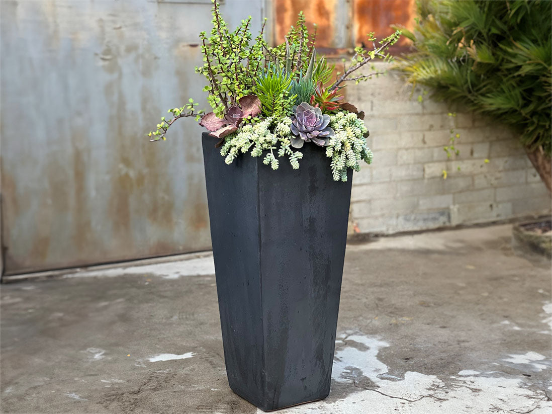 Medium Square Pot By Plantatorem