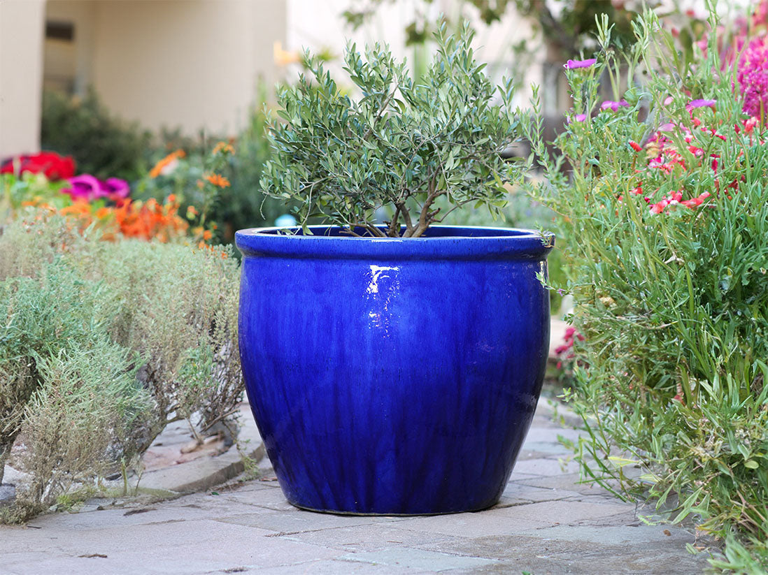 Extra Large No Decor Panter By Plantatorem