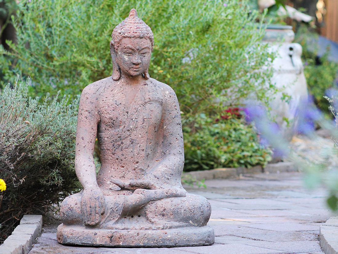 Meditating Buddha By Plantatorem